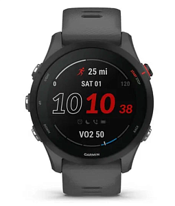 Умные часы Garmin Forerunner 255 Music Wi-Fi (Серый)