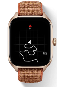 Умные часы Amazfit GTS 4 (Коричневый)