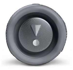 Портативная акустика JBL Flip 6 (Серый)