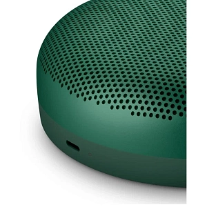 Портативная акустика Bang & Olufsen Beosound A1 2nd Gen (Зеленый)