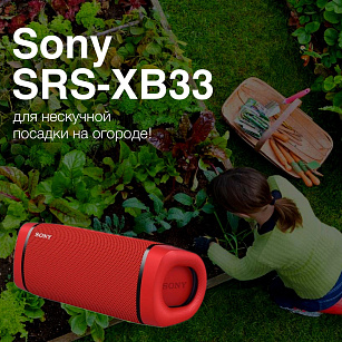 Овощи лучше сажаются, когда играет рок-н-ролл 