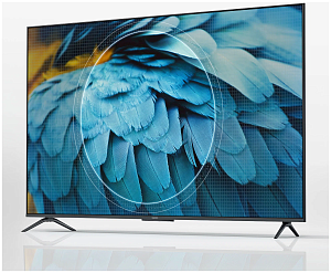 Телевизор Xiaomi TV ES50 50" 2022 (Чёрный, 50")