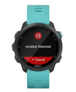 Умные часы Garmin Forerunner 245 Music (Голубой)