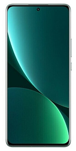 Смартфон Xiaomi 12 Pro 8/256GB CN (8 ГБ, 256 ГБ, Зелёный, Китай, Dual nanoSim, Без Rustore)