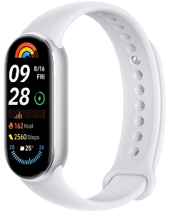 Умный браслет Xiaomi Mi Smart Band 9 (Серебристый)